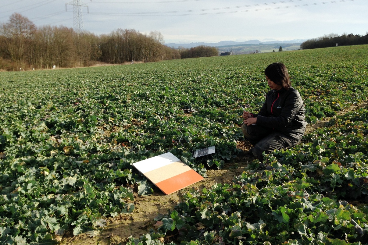 ground control point measuring ground control point measuring